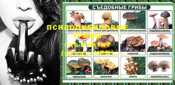прущие грибы Абинск