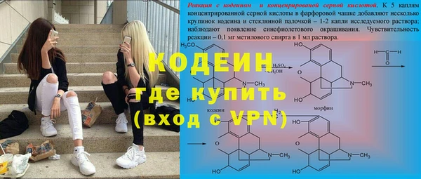 прущие грибы Абинск