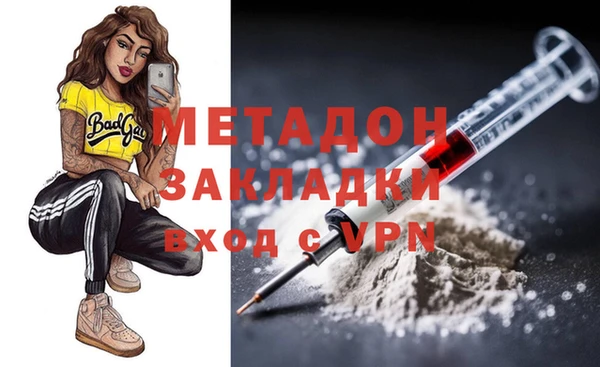 прущие грибы Абинск