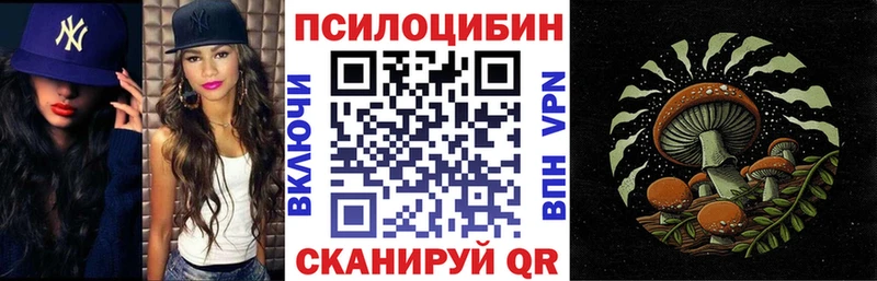 Псилоцибиновые грибы GOLDEN TEACHER купить наркотики сайты Новое Девяткино
